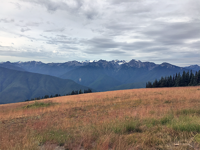 View of Hurricane Ridge Olympic National Park Photo by Kevin Burke